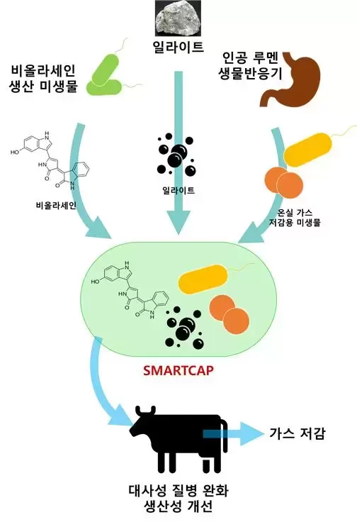 메인사진